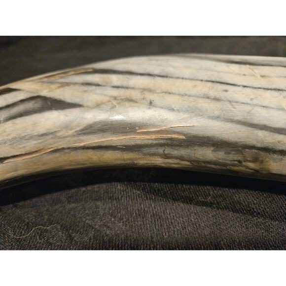 Vintage 1940s 21" Taxidermy Horn w/ 6" Magnifying Glass Optical Lens - Rare Find - Picture 9 of 10